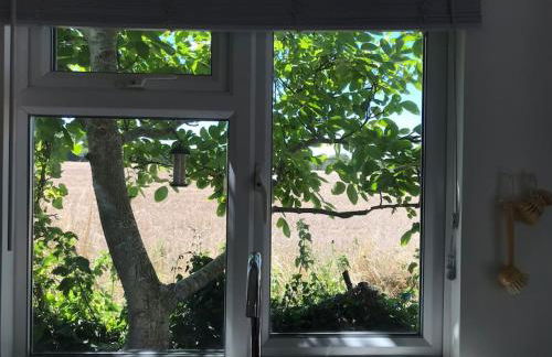 The Bay Cabin, secluded retreat Freshwater Bay - Photo 37