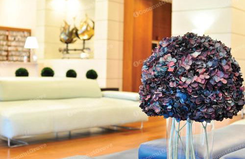 iCoconutGrove - Luxurious Vacation Rentals in Coconut Grove - Foto 28