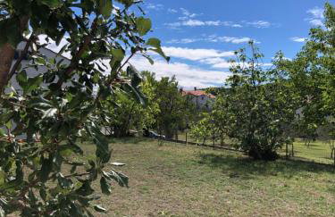 Apartment Tea - Photo 10