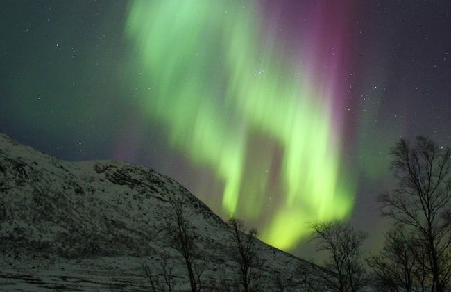 Holiday Home in Gravdal - Foto 1