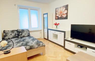 Apart WIKTORIA - Foto 22