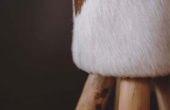 Appartements Sulzer by we rent - Foto 40