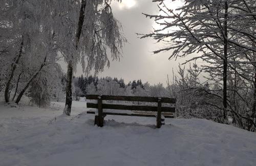 Ferienwohnung 32 im Ferienland Sonnenwald - Bayerischer Wald - Foto 27