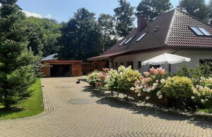 Apartament Hortensjowy Zakątek - Foto 15