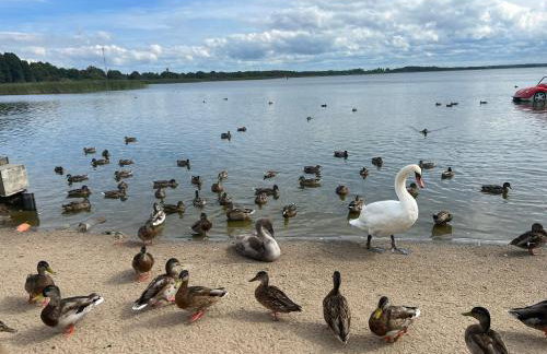 Głębia Bałtyku - Foto 19