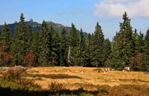 Ferienhaus Tonihof - Foto 57