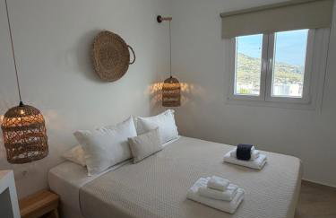 Eolia luxury houses Andros - Photo 27