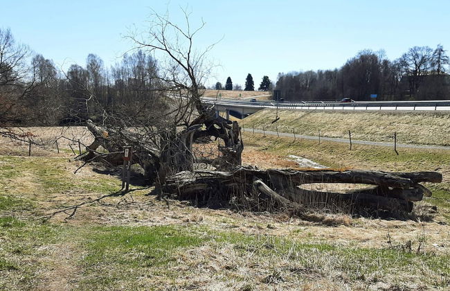 7 Person Holiday Home in Borlange-by Traum - Foto 16