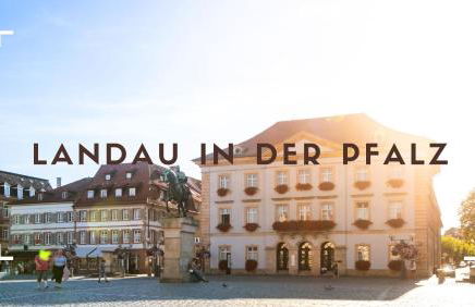 Familienglück im Waldglück Pfalz - Foto 23