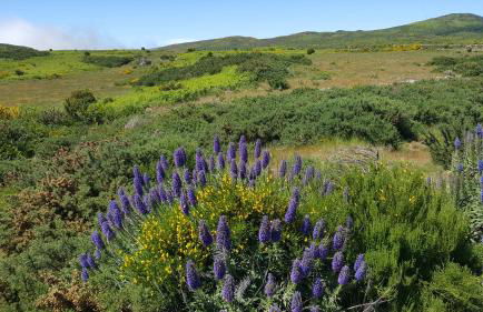 Casa do Leme - Foto 15