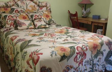 Waterfront cabin in the woods - Foto 22