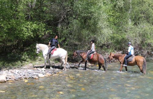 Apartamentos wifi Baqueira & Aigüestortes con jardín privado - Photo 21