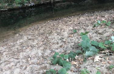 L'Olivier Fleurie Barjols - Foto 57