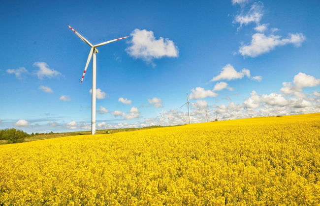 Cozy Studio 1 at the Seaside Agrotourism - Foto 28