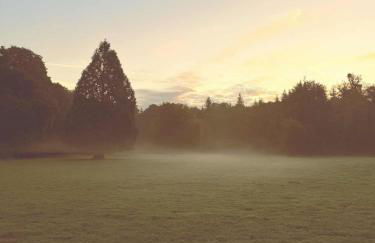 Château de charme avec parc arboré - Foto 10
