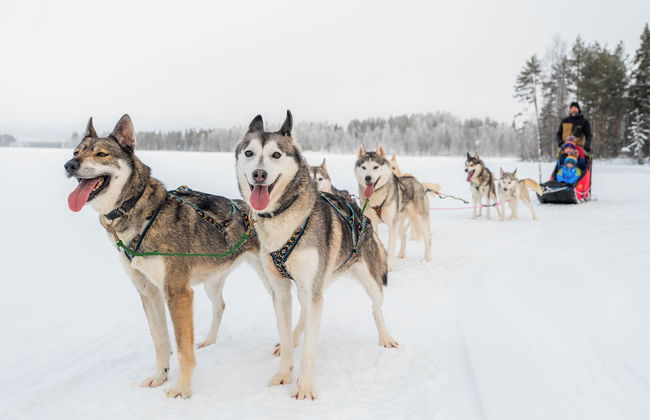 The Elegant Haistila - Foto 58