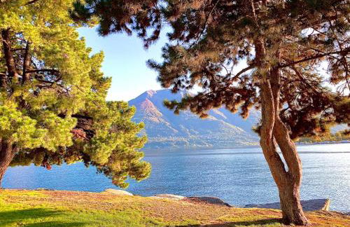 La Tana Del Ludo - Foto 45