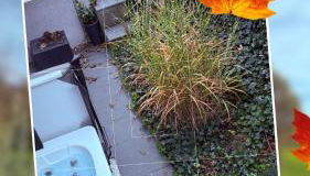 ROSMARIN - Kuschelige Fewo - Romantik & Entspannung im Whirlpool auf privater Terrasse, Ruhe & Hund willkommen - by FerienWohnenAmSee - - Foto 3