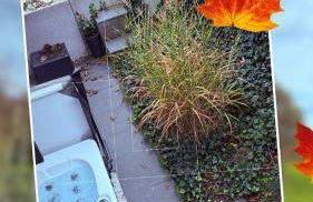 ROSMARIN - Kuschelige Fewo - Romantik & Entspannung im Whirlpool auf privater Terrasse, Ruhe & Hund willkommen - by FerienWohnenAmSee - - Foto 3