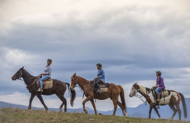 Northbank House - Photo 33