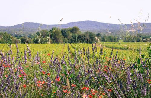 Villa Cinsault, un bijou pour votre séjour en Provence Verte - Foto 24