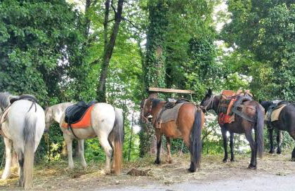 Tsagarada Stone House 1898 - Foto 75