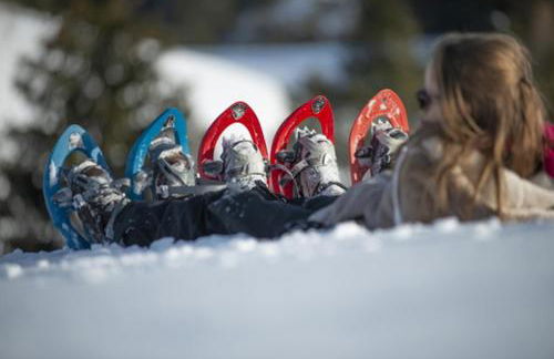 Les Alisiers - Foto 38