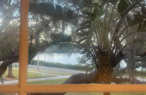 Luxury Tarpon Springs Waterfront w Gulf Access - Foto 43