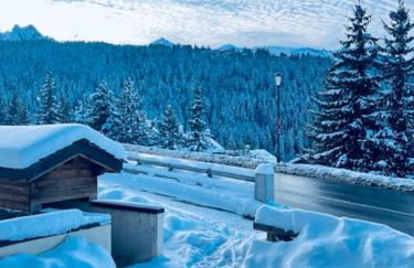 C&C Cosy et Au pied des pistes - Foto 7