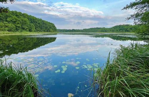 Uno z Balią Kopalino - Foto 33