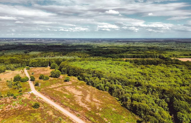 Comfortable Bungalow on the Veluwe - Photo 30