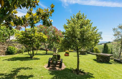 Quinta da Padrela Winery House - Foto 27