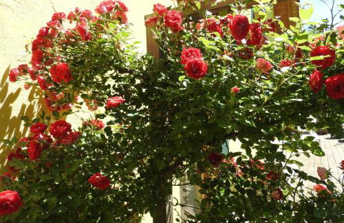 Sweet Home Suite - Foto 45