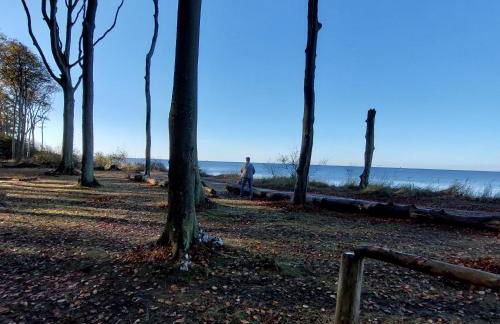 Klosterblick - Foto 37