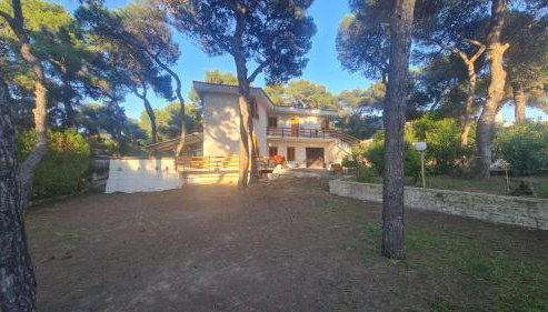 Villa Ofelia - Casa Vacanze in Puglia - Foto 2, Garden view