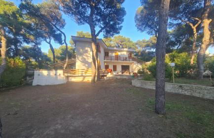 Villa Ofelia - Casa Vacanze in Puglia - Foto 1