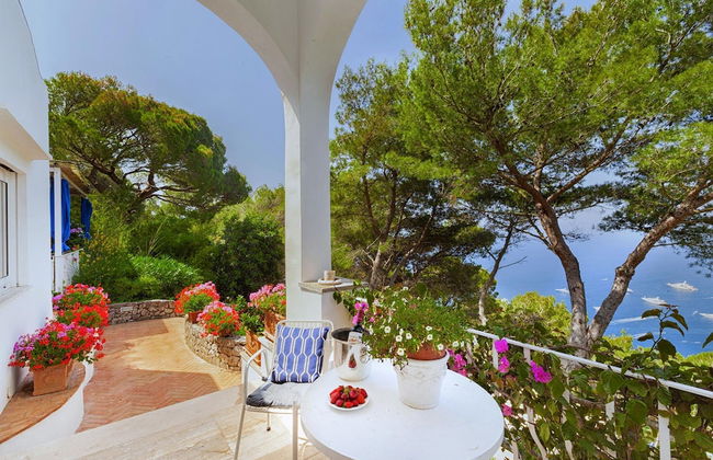 Villa Polifemo in Capri - Foto 30