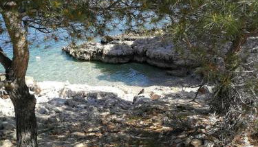 HOUSE Kod dide - Foto 5