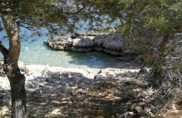 HOUSE Kod dide - Foto 5