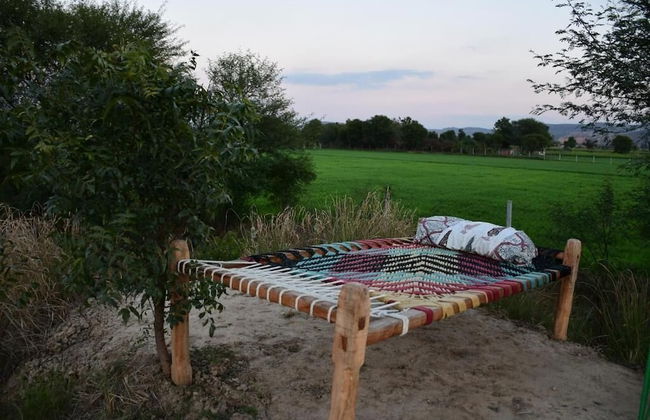 Bagh Serai - Foto 29