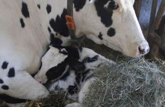 Bushof - Leben auf dem Land - Foto 32
