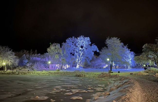 Cecilienpark Oberharz - Photo 9