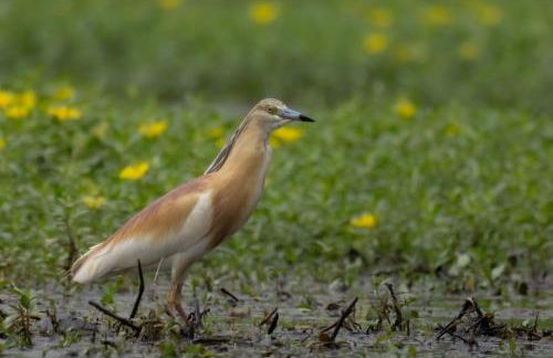 A Casa di Bruna - Foto 73