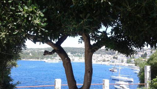 Apartman Radošić - Foto 4