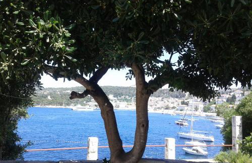 Apartman Radošić - Photo 4