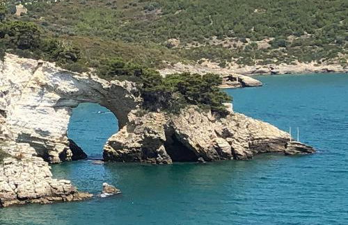 Downtown San Lorenzo - Foto 33