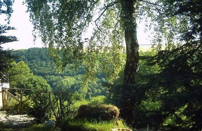 Apartment With Animal zoo and sun Terrace - Foto 16