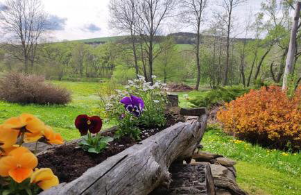 Zacisze Osławy Agroturystyka - Foto 20