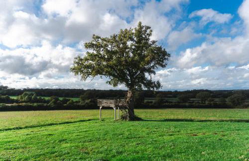 Domaine Bonneblond - Foto 11