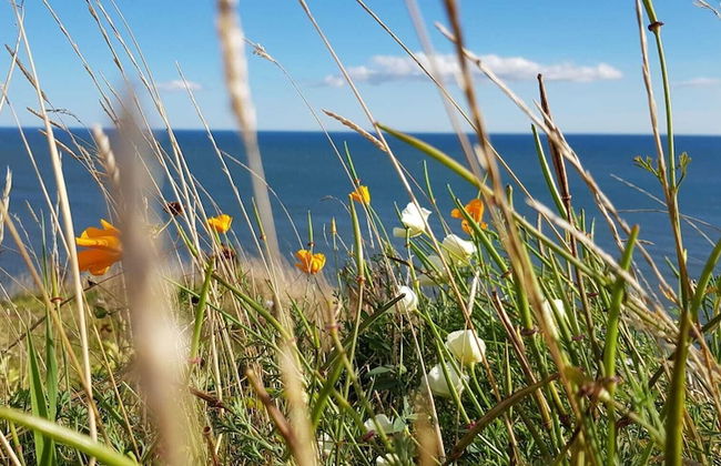 Woodston Fishing Station - Foto 26